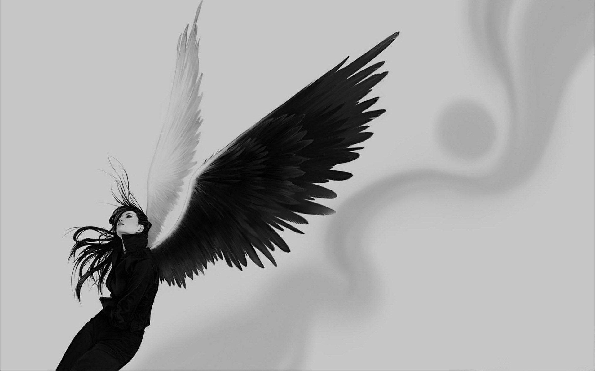 Black Angel Wings Wallpaper