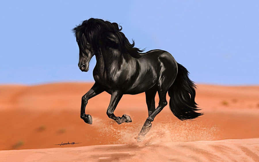 Black Horse Pictures Wallpaper