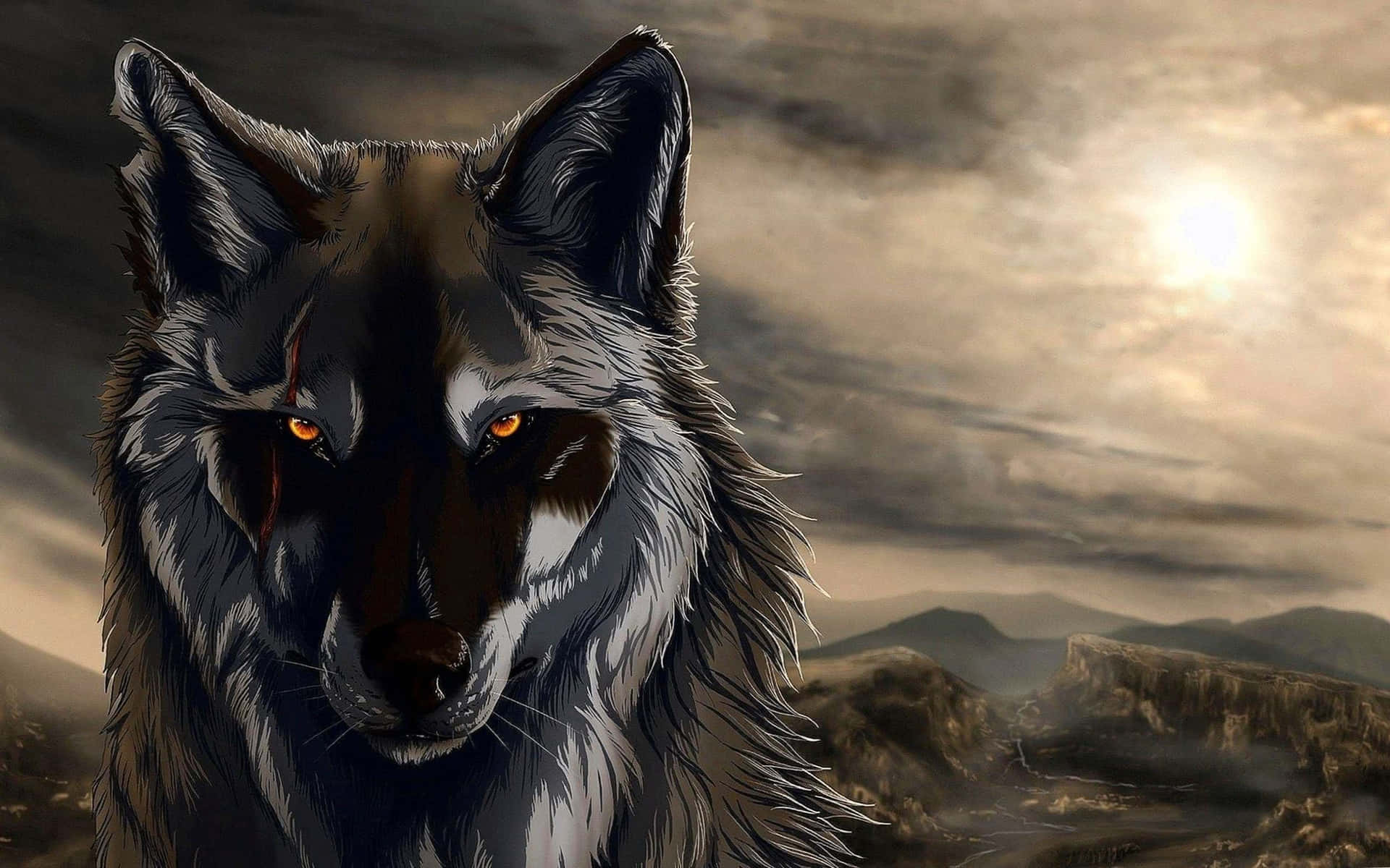 Black Wolf Pictures Wallpaper