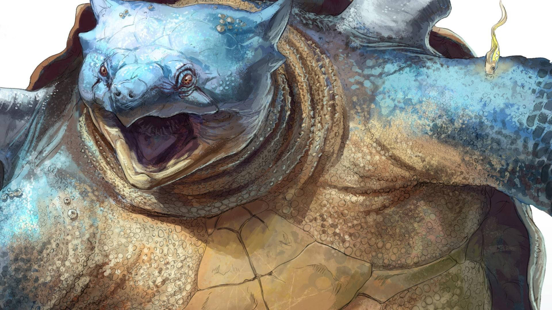 Blastoise Achtergrond