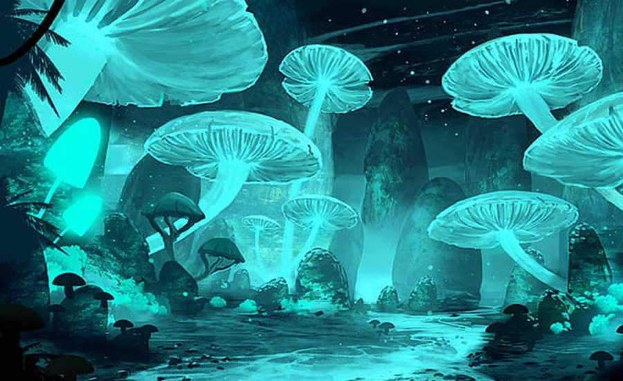 Leuchtende Pilze in einem magischen Wald bei Nacht unter Sternen — Blaue Malerei Wallpaper