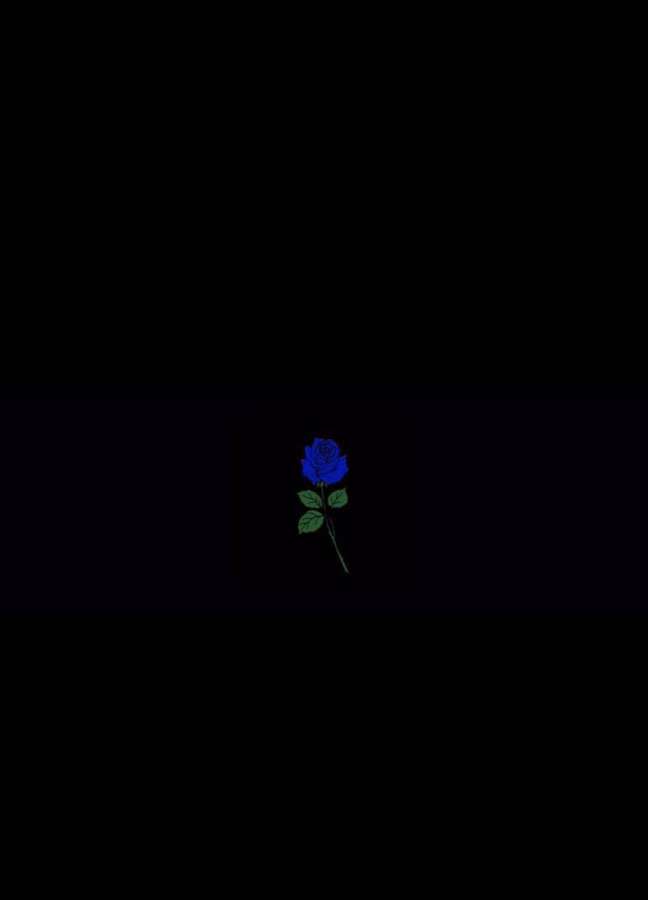 Eine leuchtende blaue Rose mit grünen Blättern vor einem schwarzen Hintergrund. — Blaue Rose Wallpaper