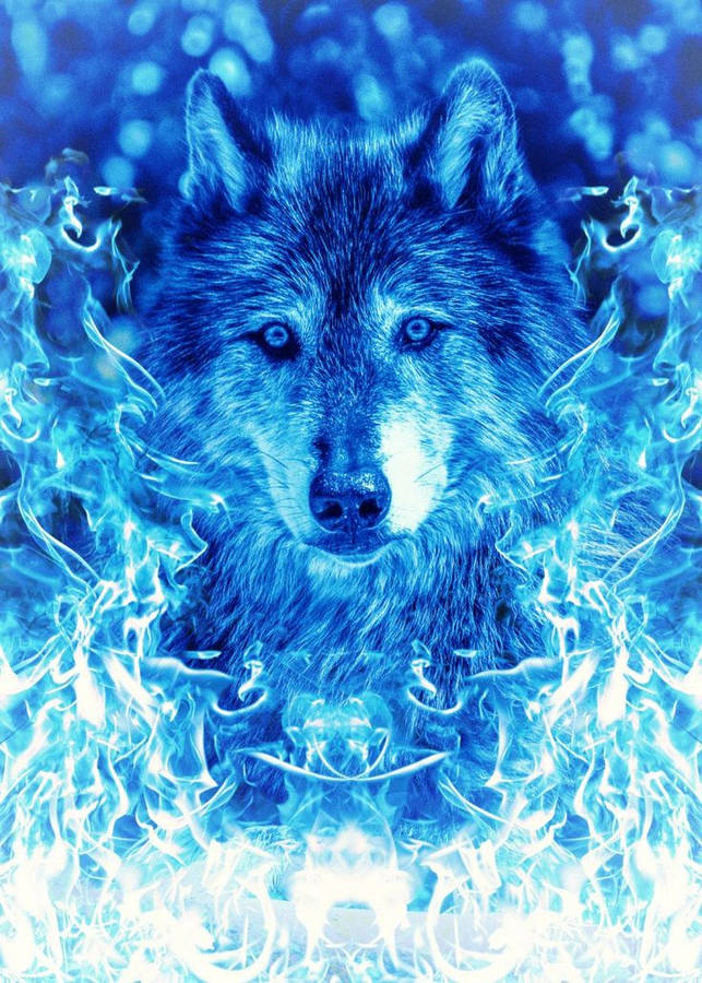 Blauer Wolf Wallpaper