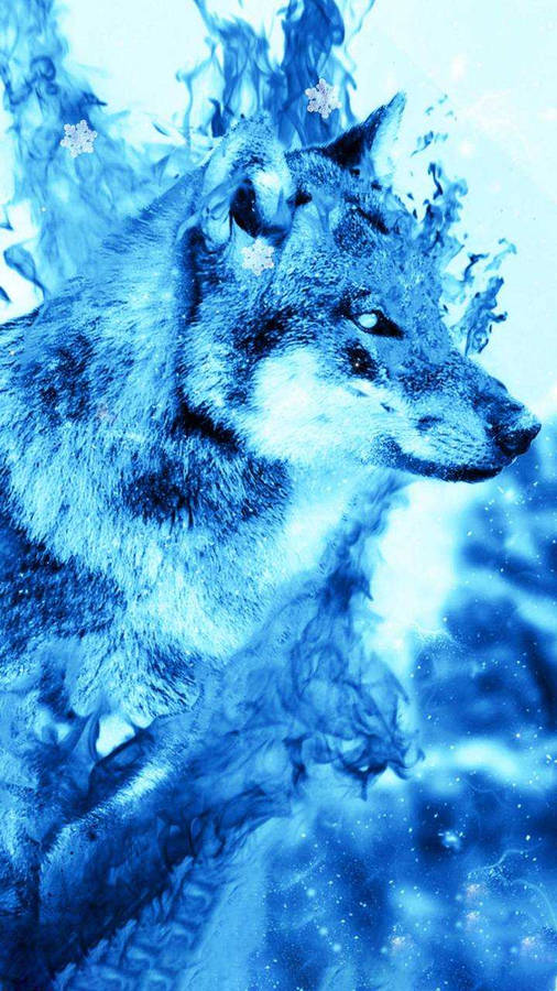 Blauwe Wolf Achtergrond