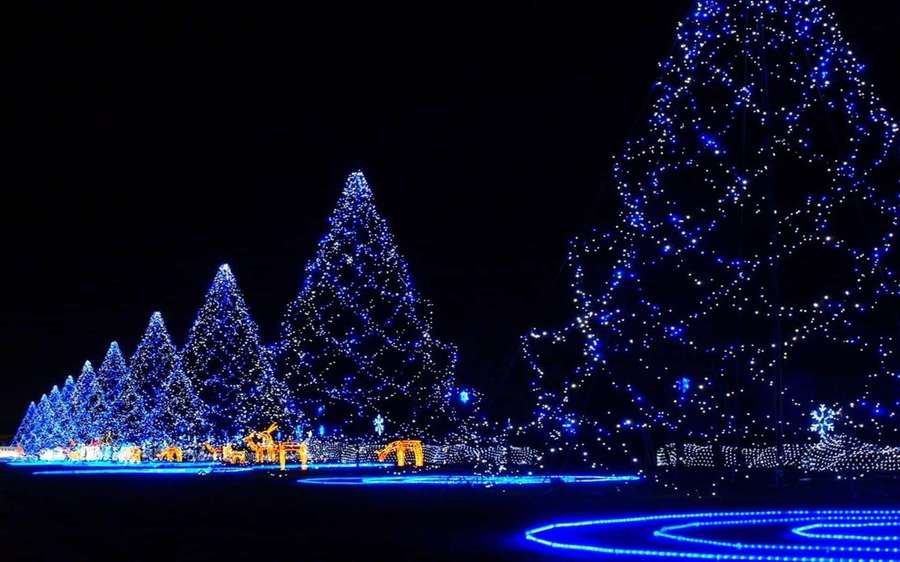 Blue-lit Christmas trees and festive decorations glow at night in a winter landscape. — Blue Christmas Wallpaper