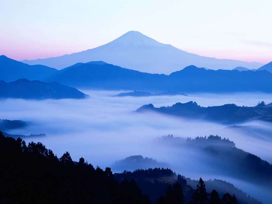 Serene mountain peak rising above misty valleys at dawn with pink and blue hues. — Blue Mountains Wallpaper