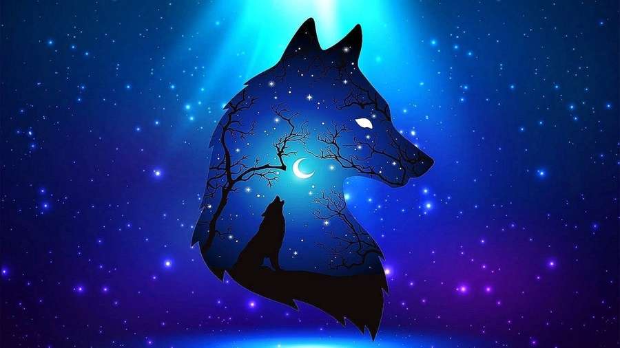 Wolf silhouette with stars and moon howling in cosmic night sky. — Blue Wolf Background