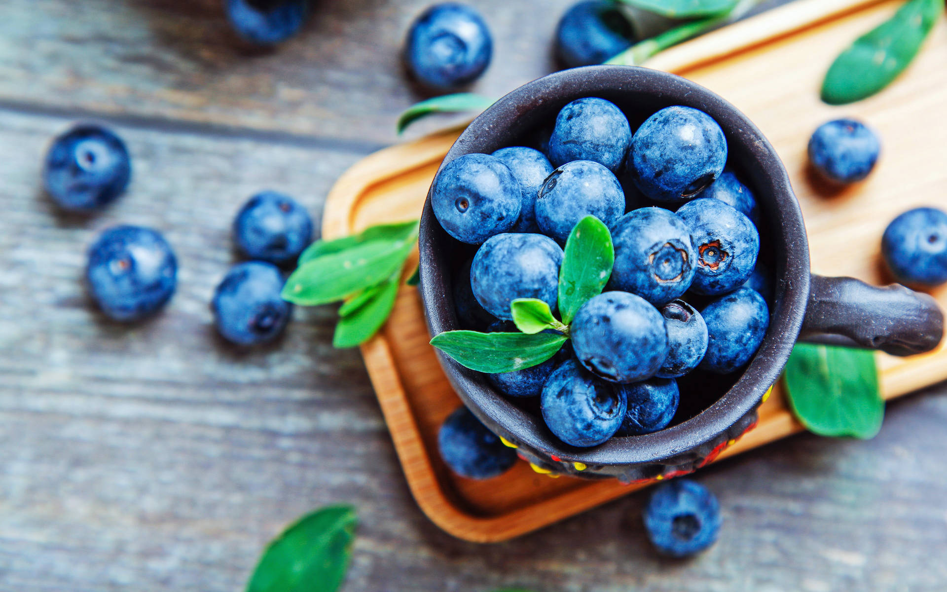 500 Blueberry Pictures HD  Download Free Images on Unsplash