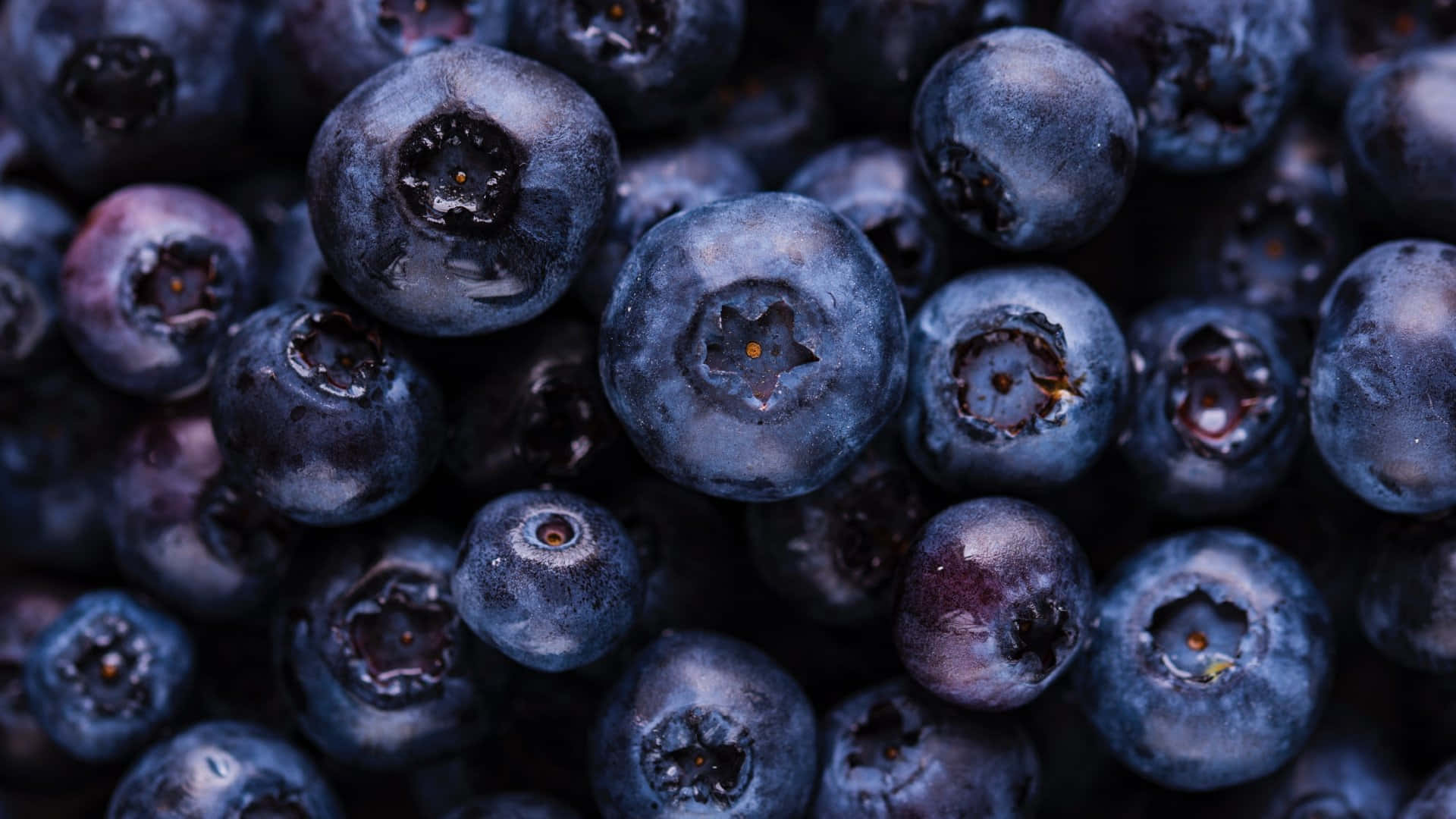 Blueberry Background Wallpaper