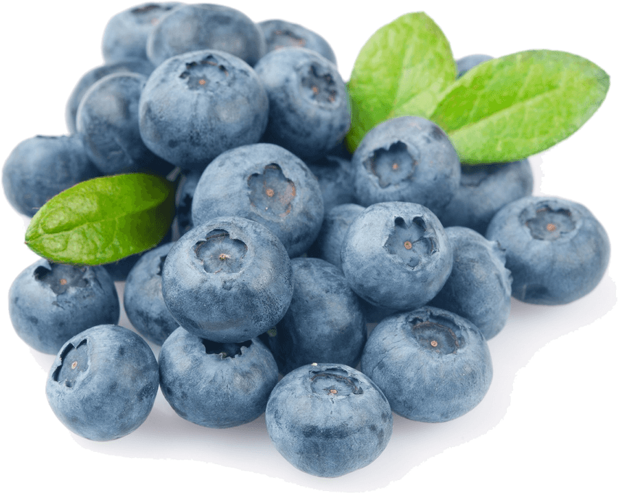 Blueberry Png