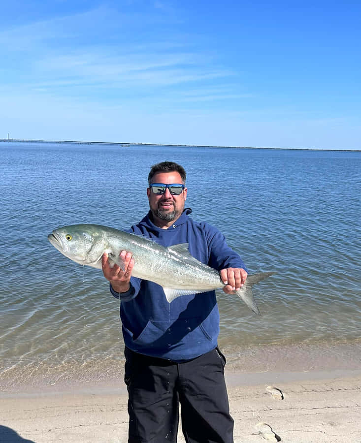 Bluefish Fond d'écran