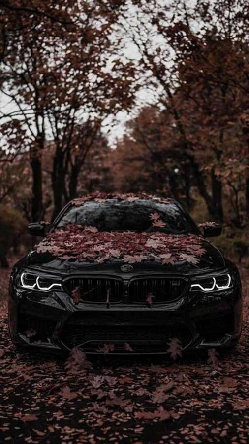 Schwarzer BMW bedeckt mit roten Herbstblättern in einem Wald. — Bmw M Bilder