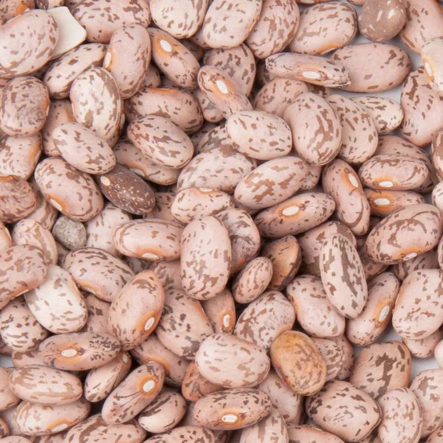 Haufen gesprenkelter beiger und brauner Bohnen mit cremigen Glanzlichtern. — Bohnen Wallpaper