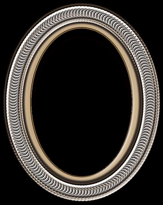 Elegant oval picture frame with silver and gold detailing on black background. — Border Frame PNG