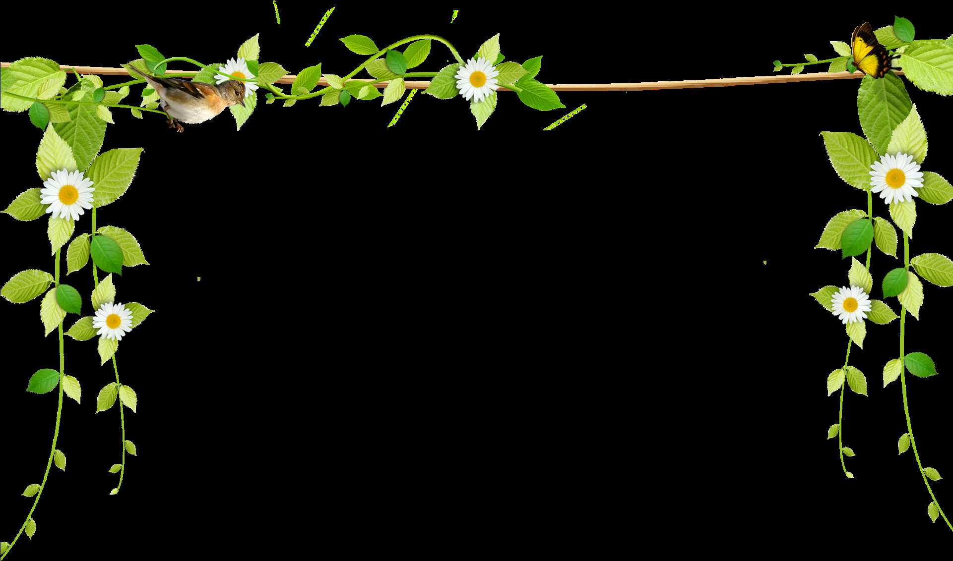 A floral border with daisies vines and a bird on a branch. — Border PNG