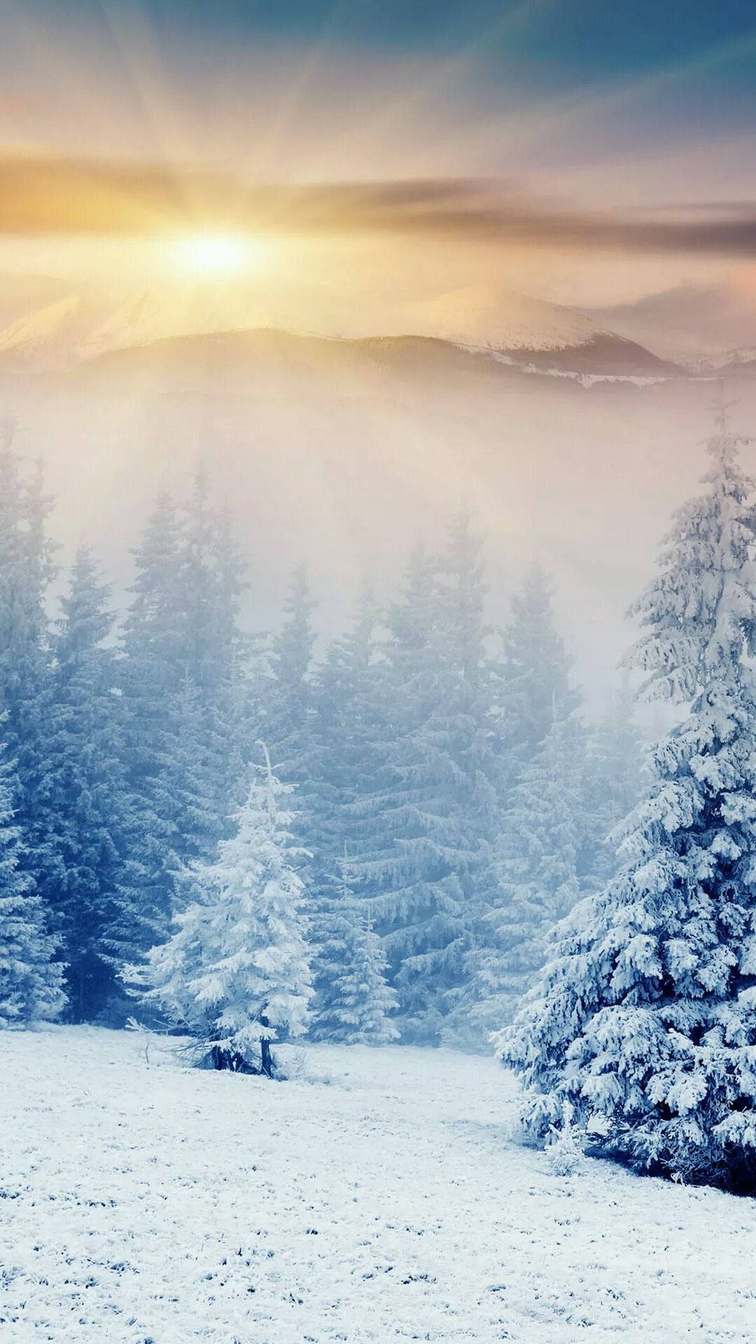 Bosque De Invierno Para Teléfono Fondo de pantalla