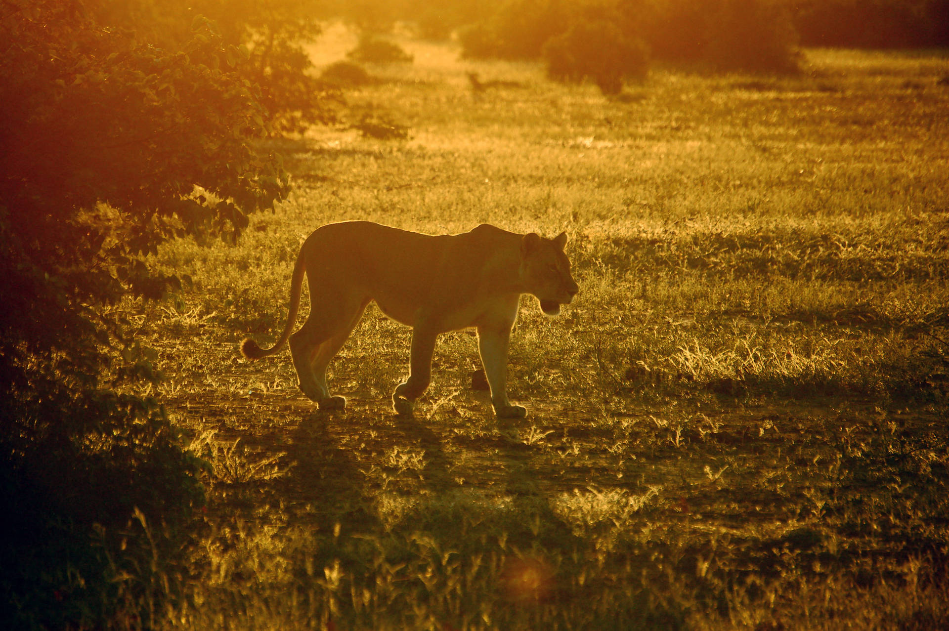 Botswana Achtergrond