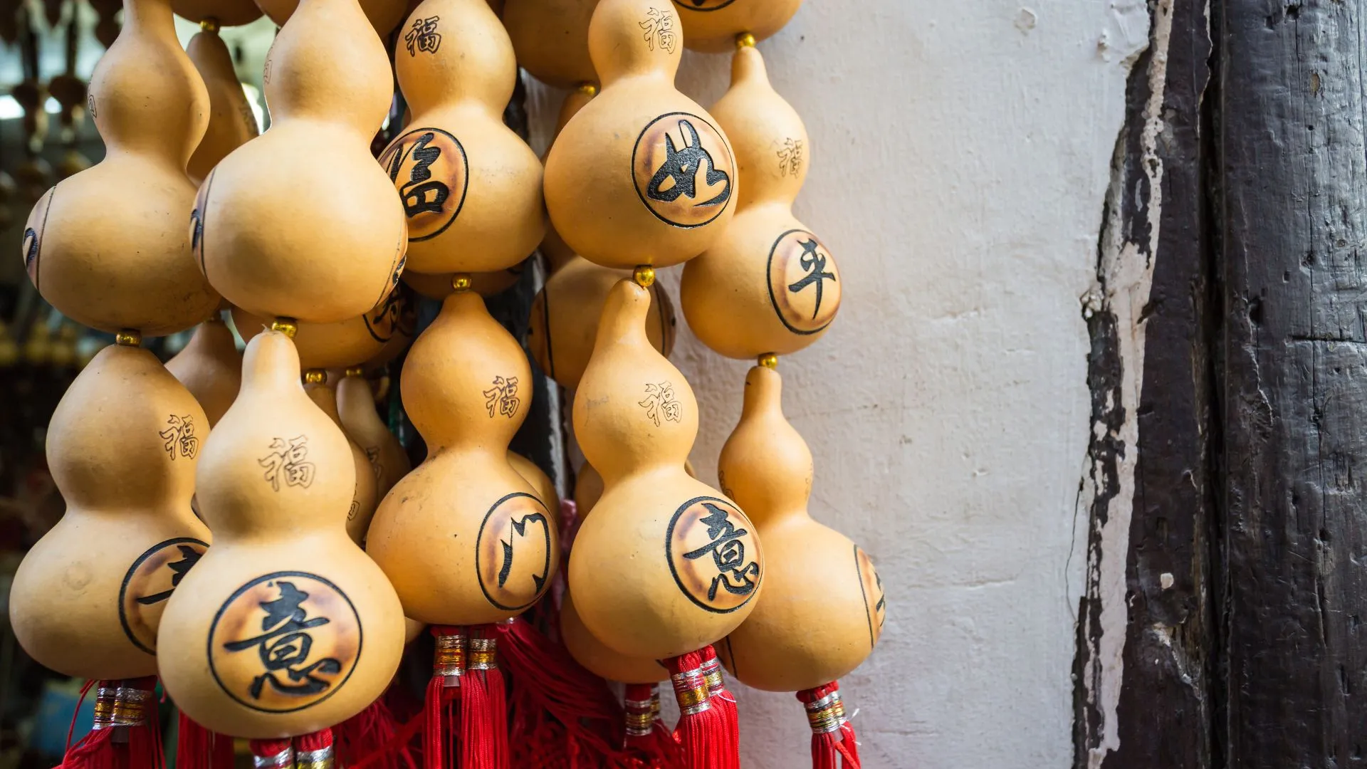 Bottle Gourd Wallpapers