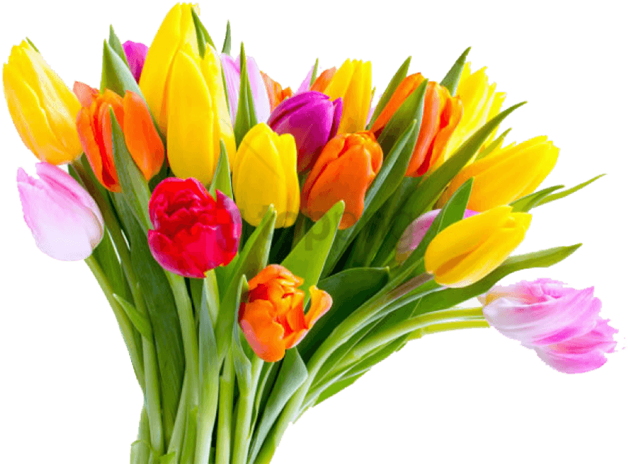 Bouquet Of Flowers Png