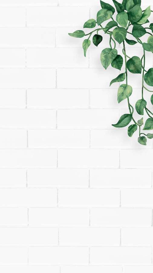 Planta verde pendente contra parede de tijolos branca — Branco estético Papéis de Parede