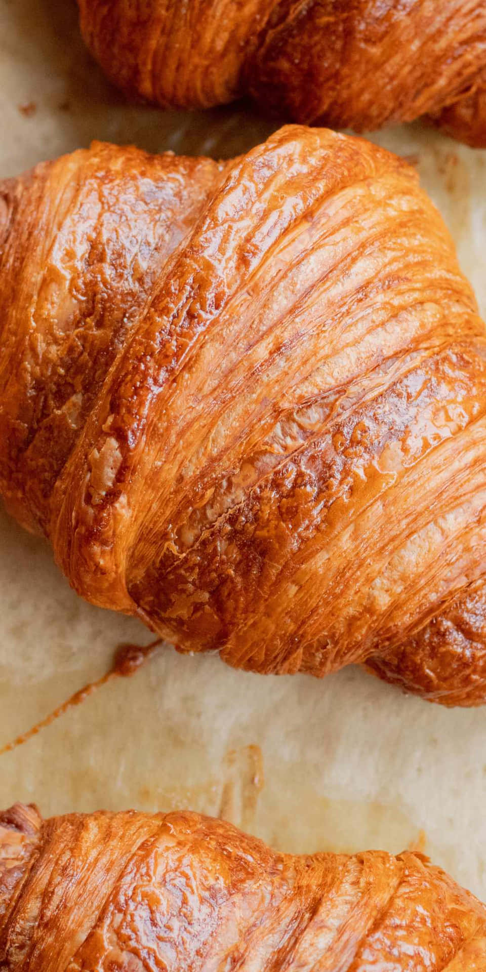 Nybakade gyllene croissanter med flagnande lager på bakplåtspapper. — Bröd bakgrund Bakgrundsbilder