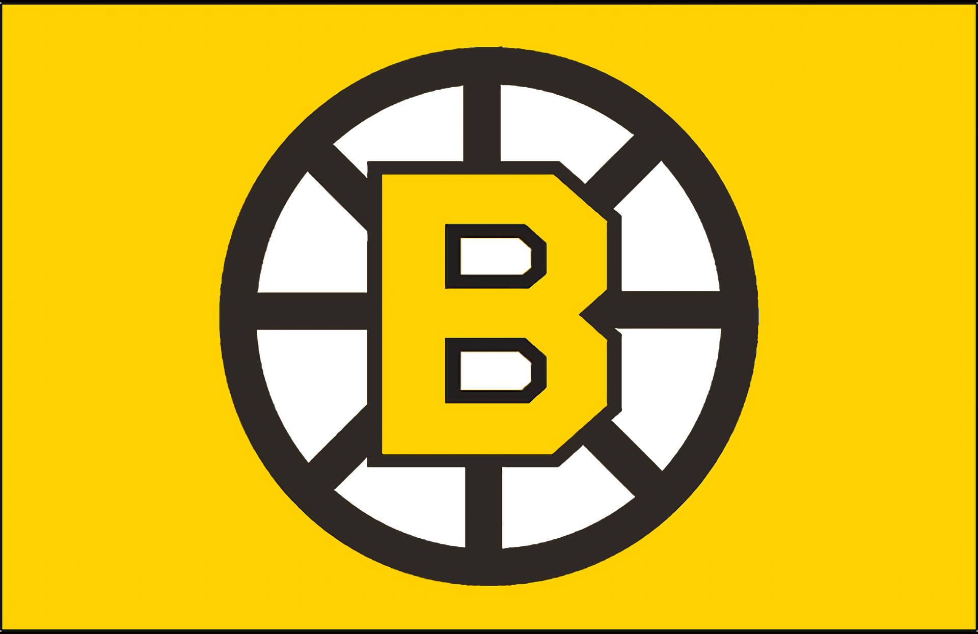 Bruins Bilder
