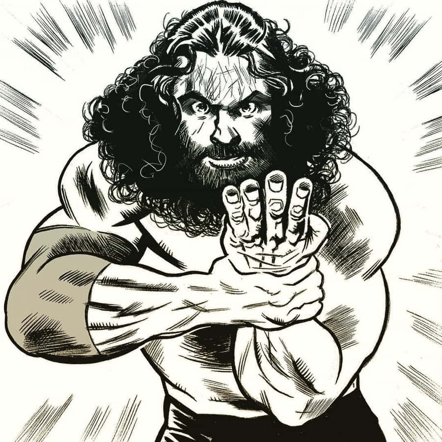 Bruiser Brody Fond d'écran