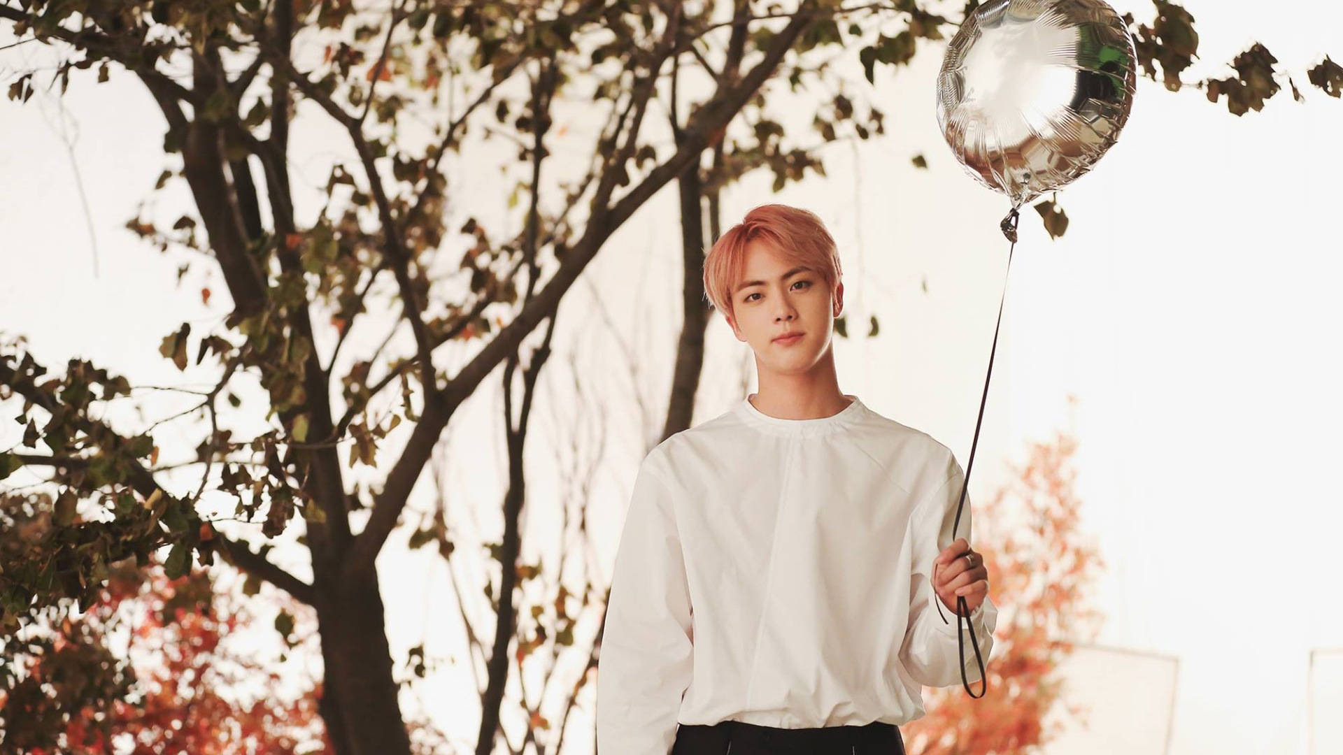 Bts Jin Wallpaper