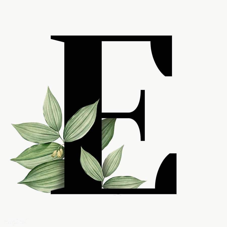 Schwarzer Buchstabe E verziert mit grünen Blättern und kleinen gelben Blumen. — Buchstabe E Wallpaper