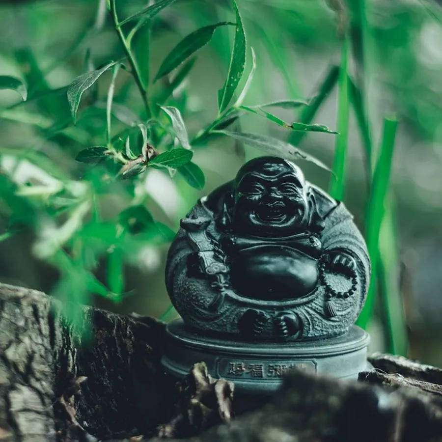 Estatua de Buda negra rodeada de exuberantes plantas verdes y corteza de árbol. — Buda riendo Fondos de pantalla