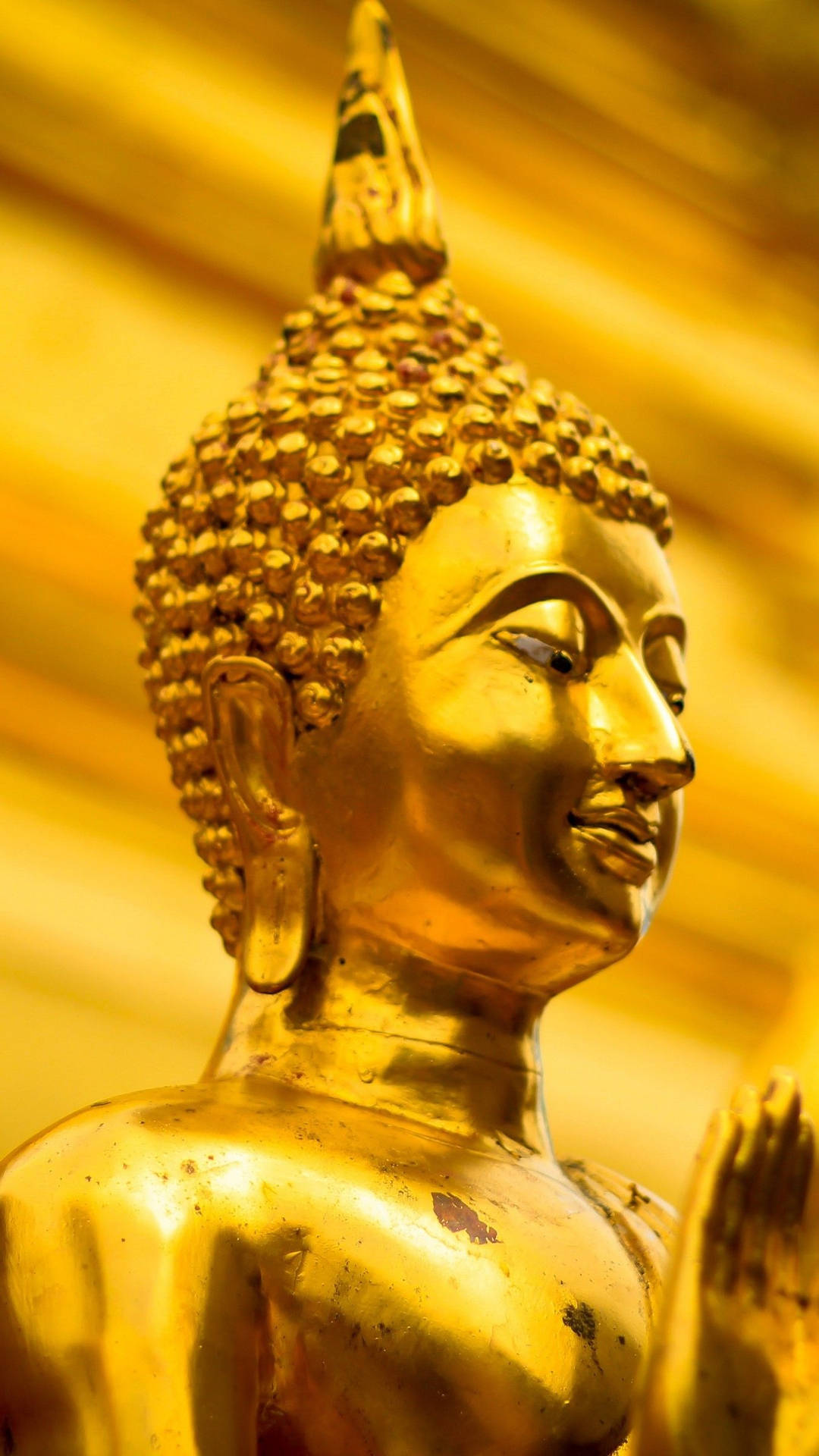 Buddha Bilder
