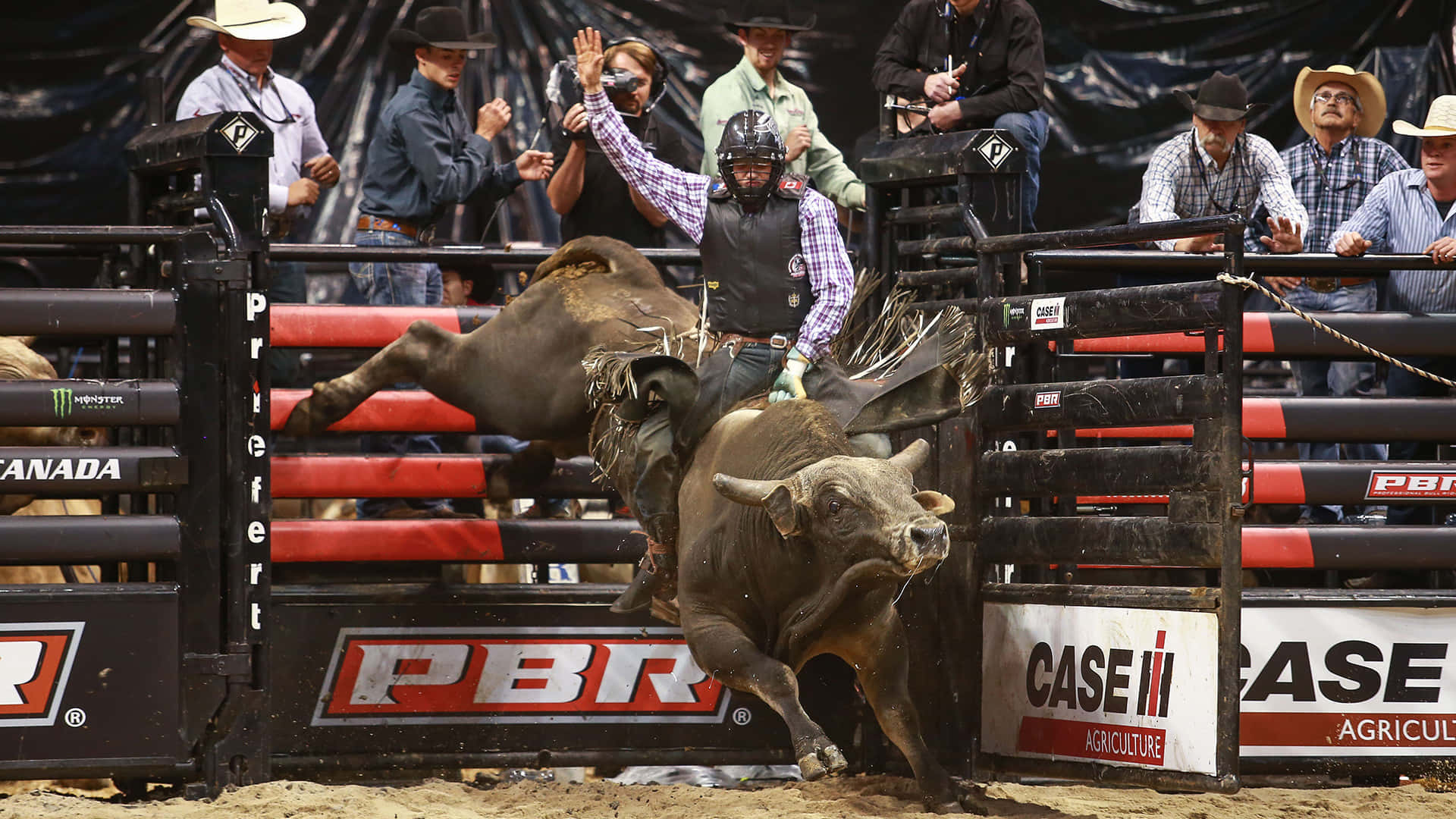 Bull Rider Pictures Wallpaper