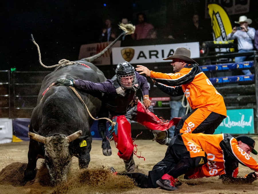 Bull Riding Pictures Wallpaper