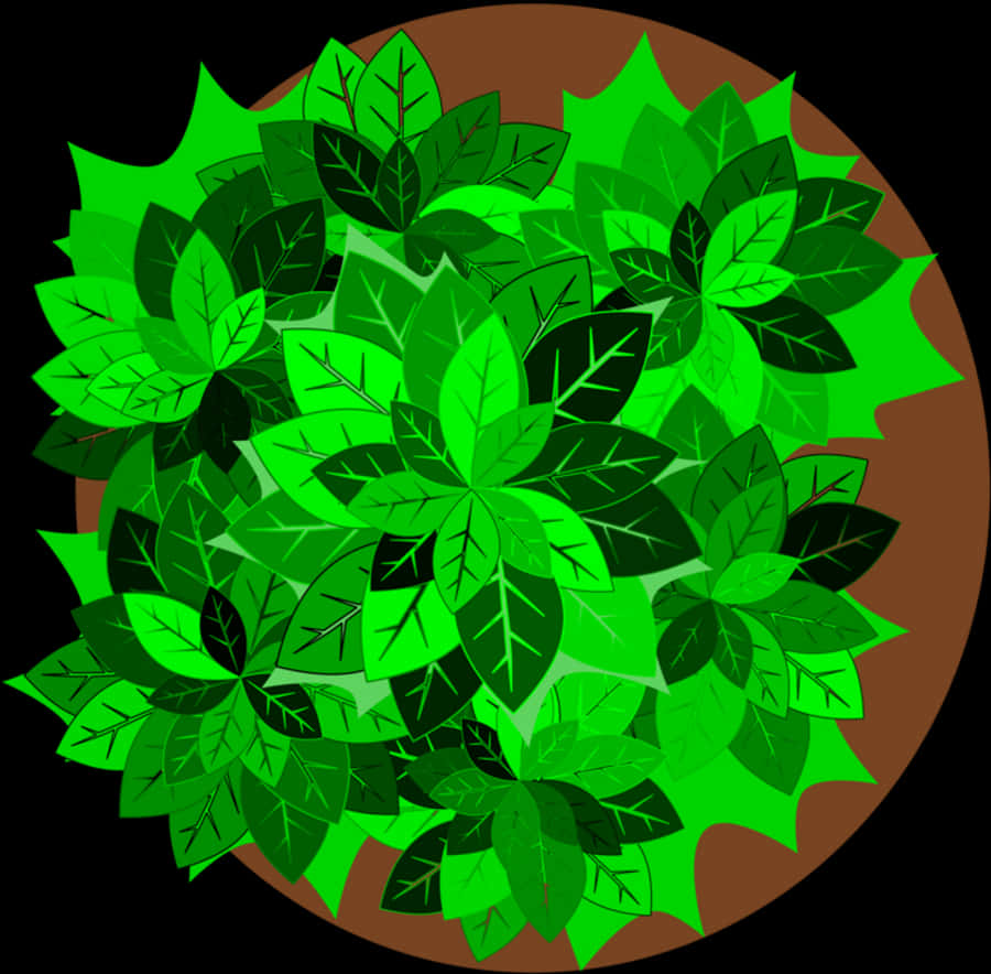 Bush Png