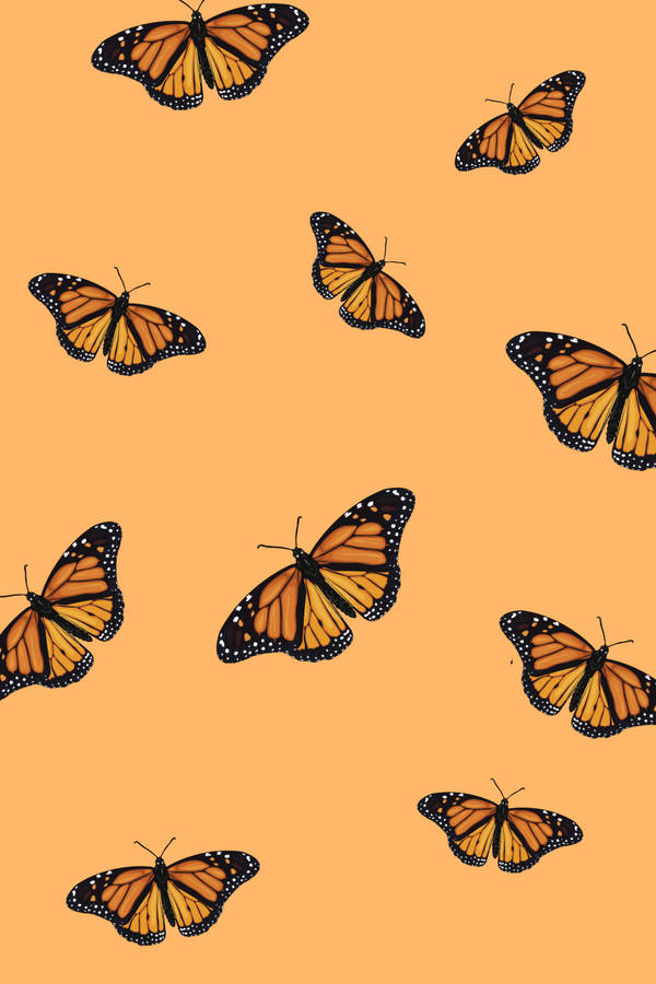 Butterfly Background Photos