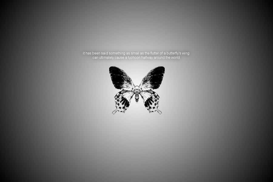 Butterfly Effect Wallpaper