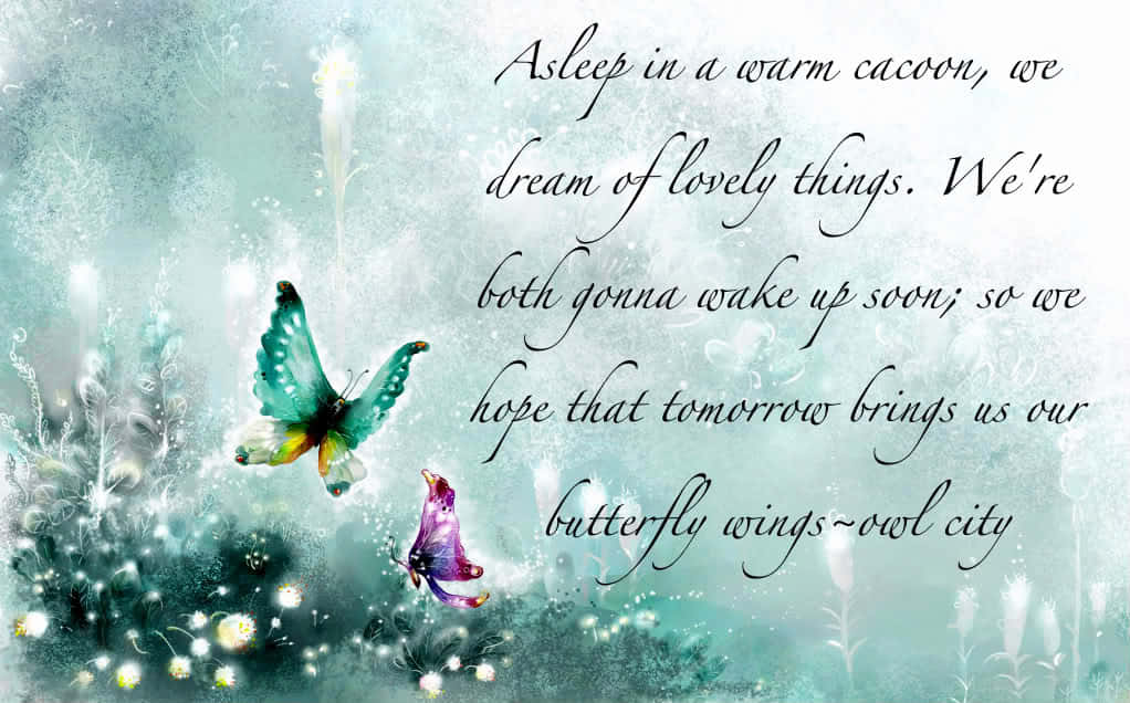 Butterfly Quotes Wallpaper
