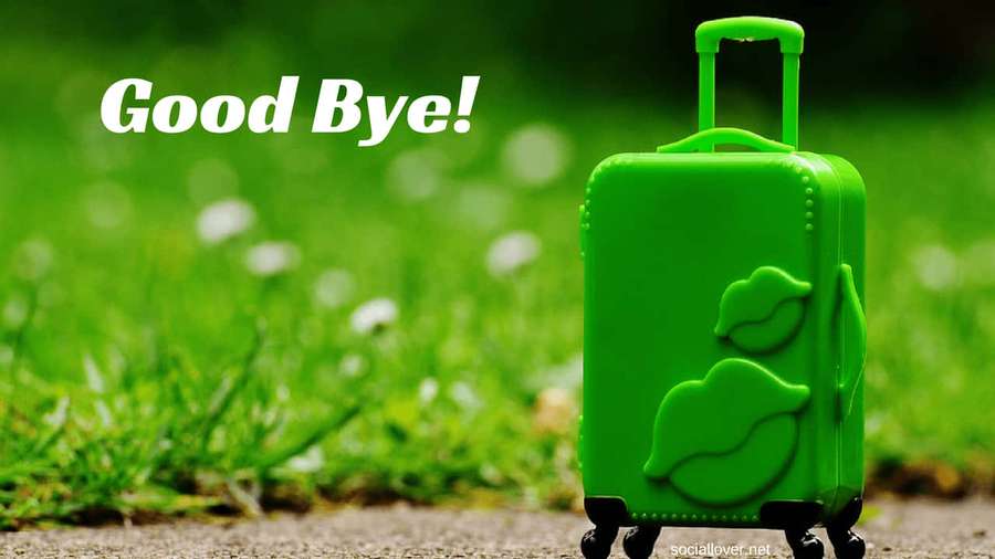 A green suitcase with leaf patterns on a gravel path next to grass with dandelions and farewell text. — Bye Wallpaper