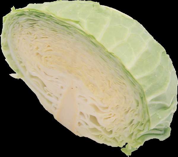 Sliced green cabbage showing inner layers and outer leaves — Cabbage PNG