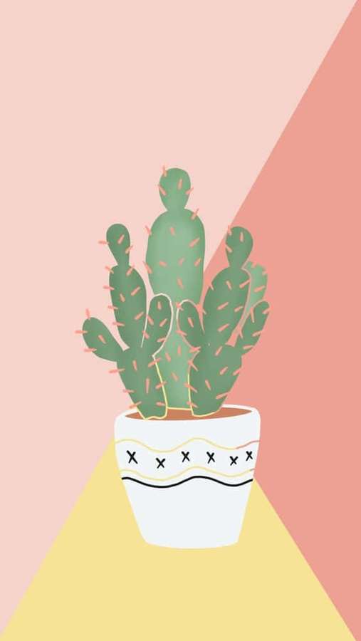 A green cactus in a patterned pot on a pink and yellow geometric background. — Cactus iPhone Wallpaper