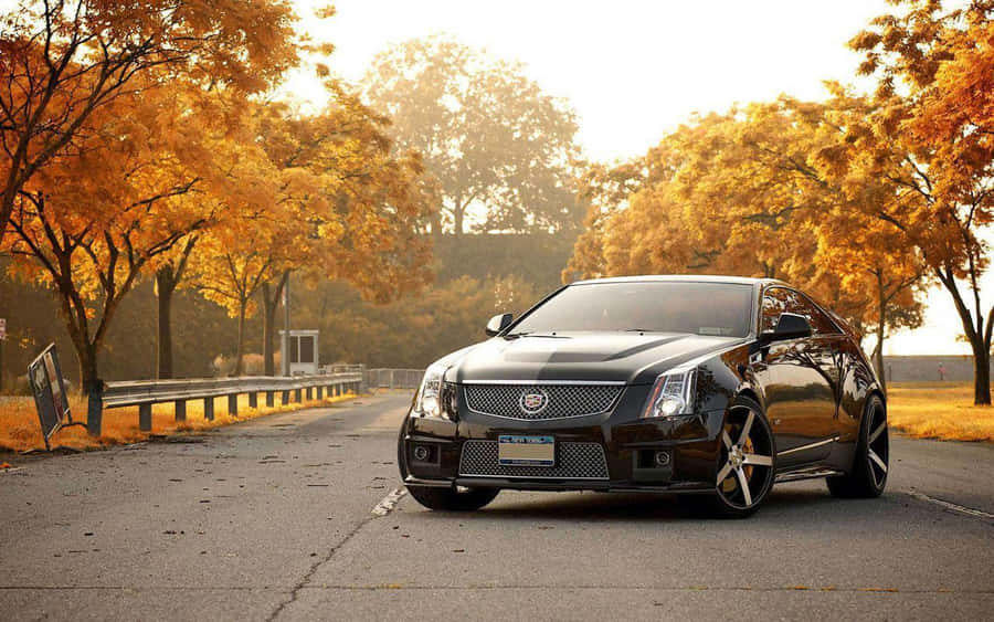 Cadillac Pictures Wallpaper