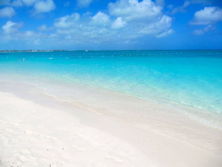 Caicos Wallpaper