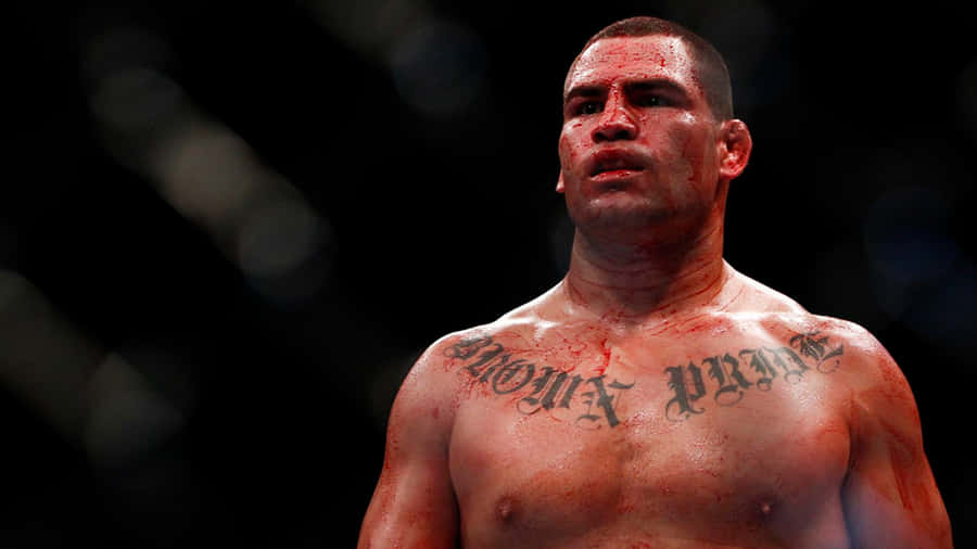 Cain Velasquez Wallpaper