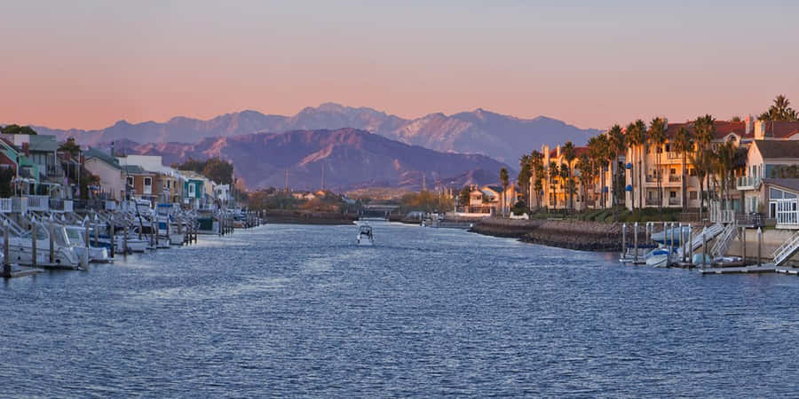 California Island Achtergrond