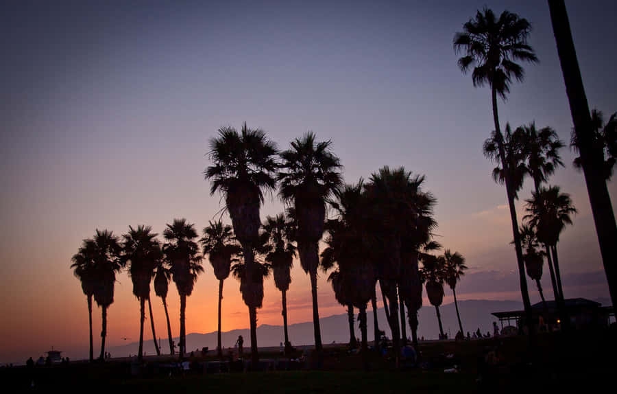 California Zomer Achtergrond