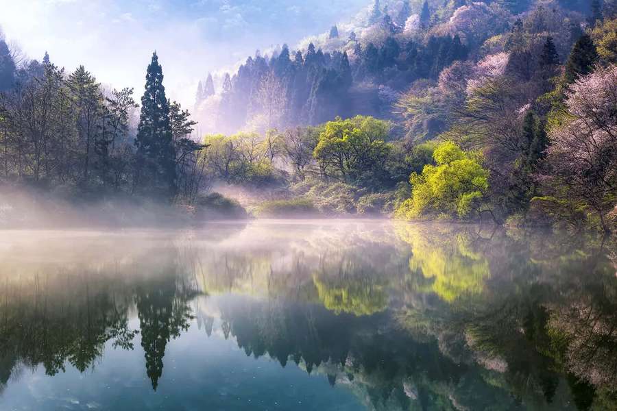 Serene mountain lake with cherry blossoms and misty reflections at dawn. — Calm Background