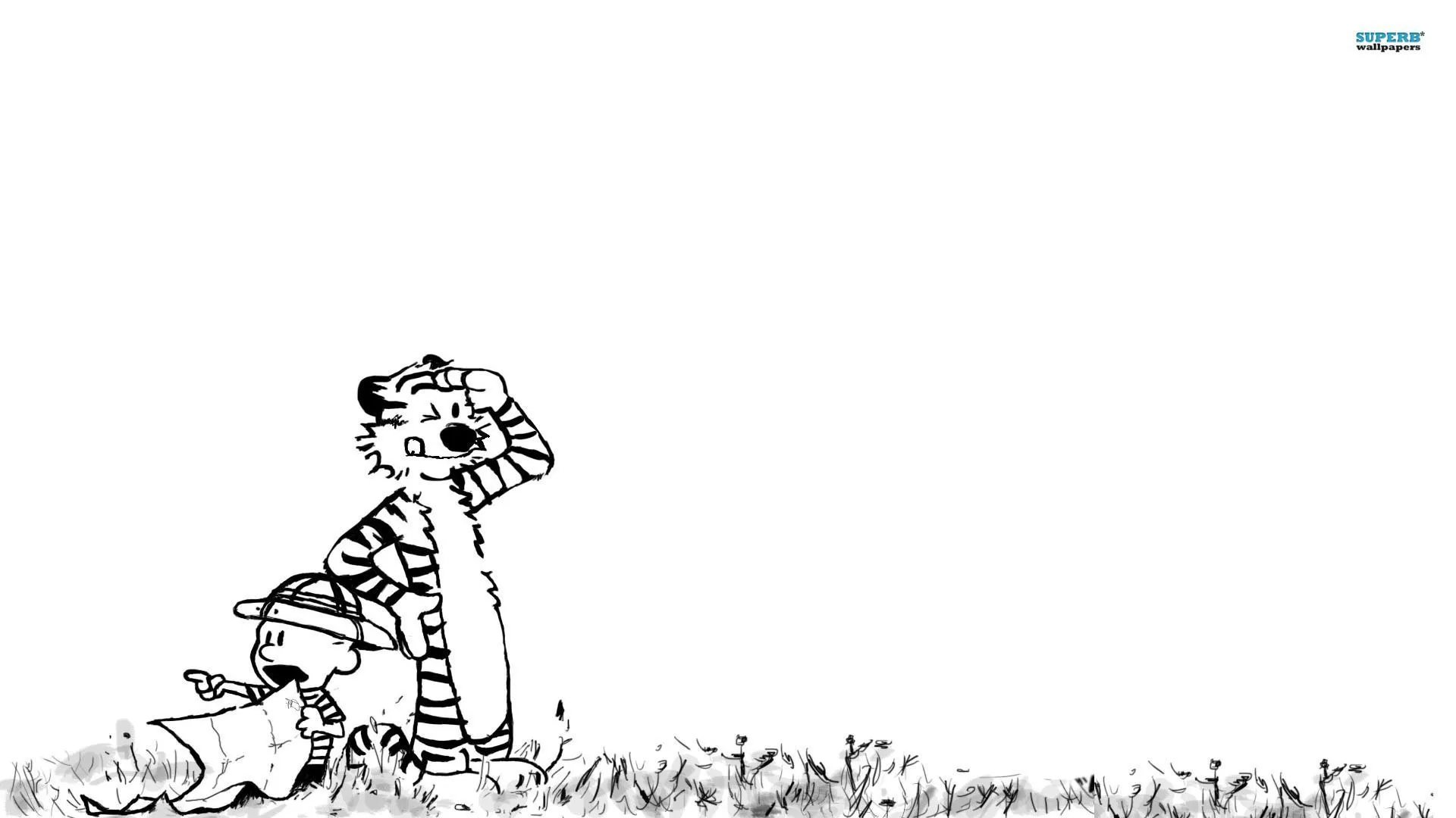 Calvin Und Hobbes Bilder