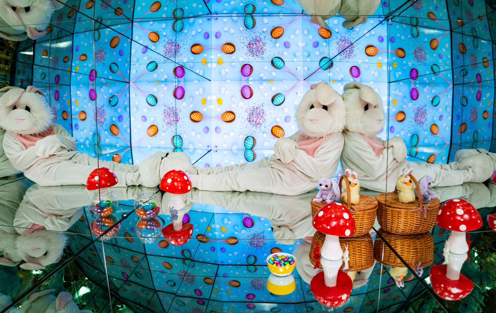 Camera Obscura And World Of Illusions Fond d'écran