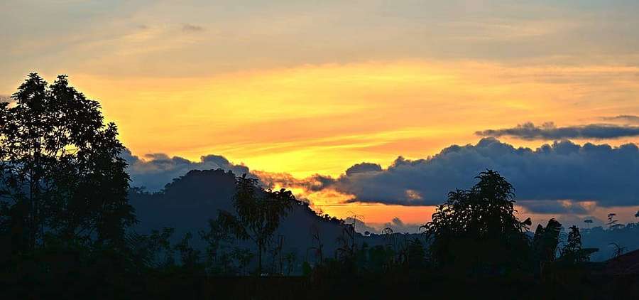 Silhouetted trees and mountains under a vibrant orange and yellow sunset sky. — Cameroon Wallpaper