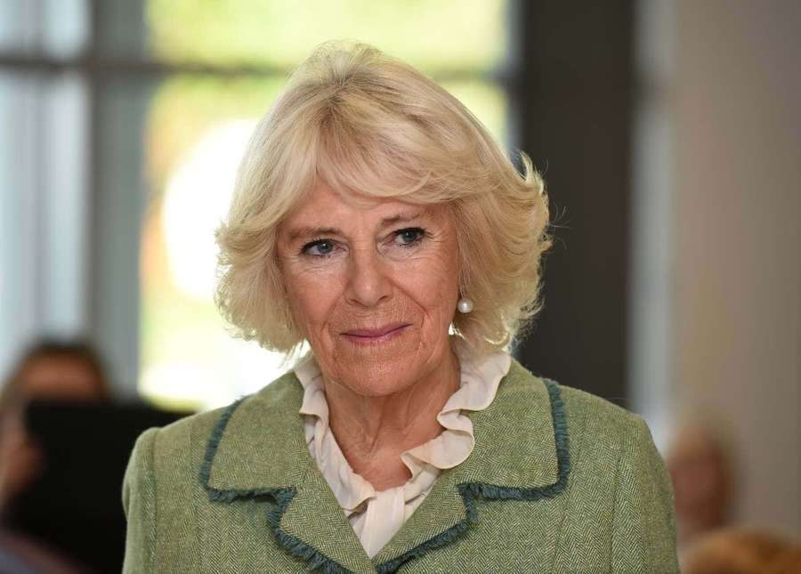 A woman with blonde hair in a green tweed jacket smiles softly indoors. — Camilla Wallpaper